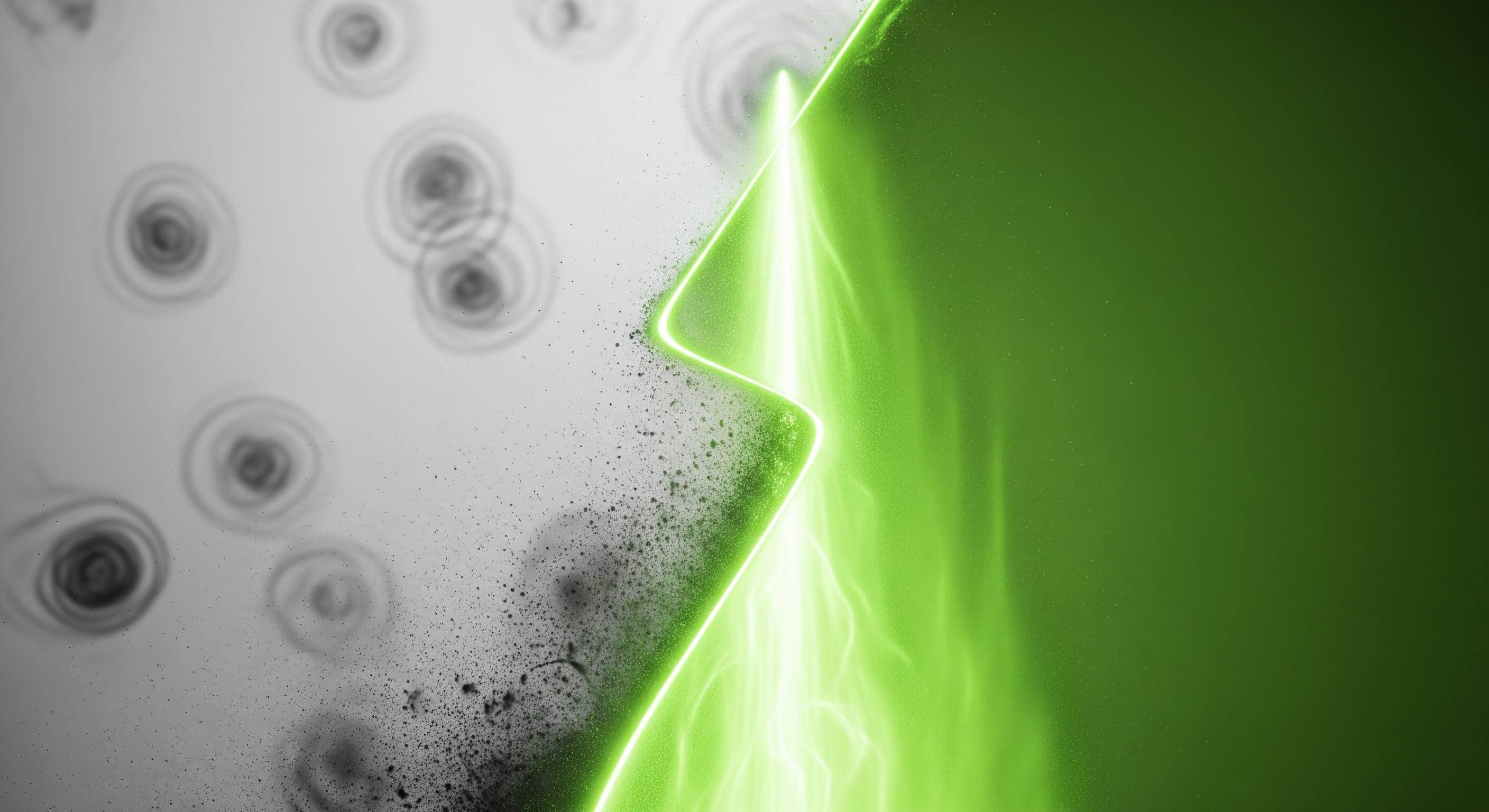 Envirogyn Mold Remediation transformation and structural timber decontamination